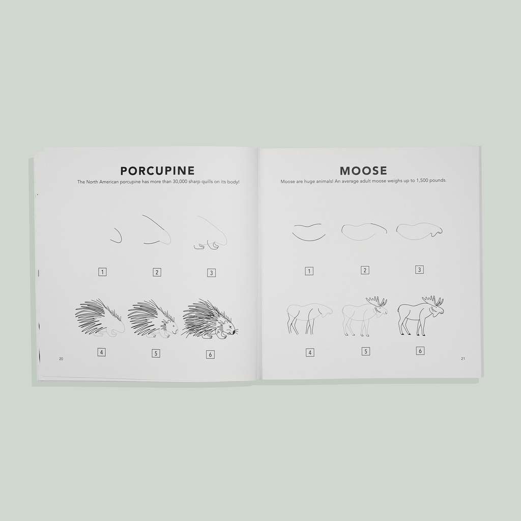 How to Draw for Kids: Mushrooms & Woodland Creatures for Kids | Playroom Avenue