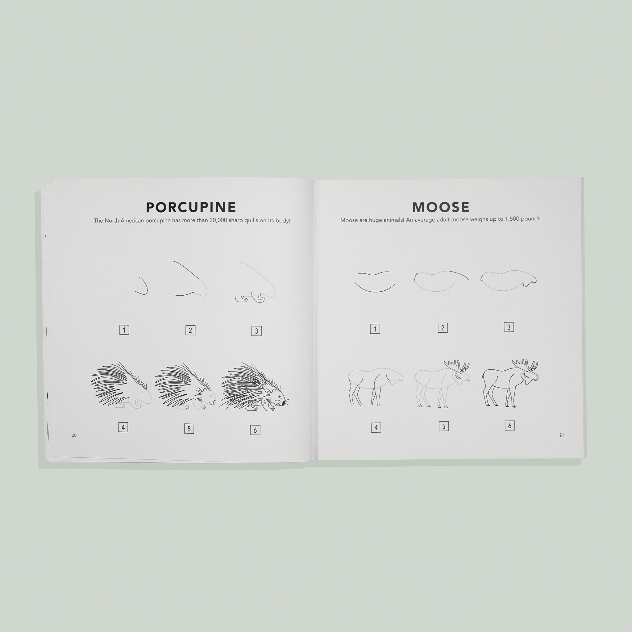 How to Draw for Kids: Mushrooms & Woodland Creatures for Kids | Playroom Avenue