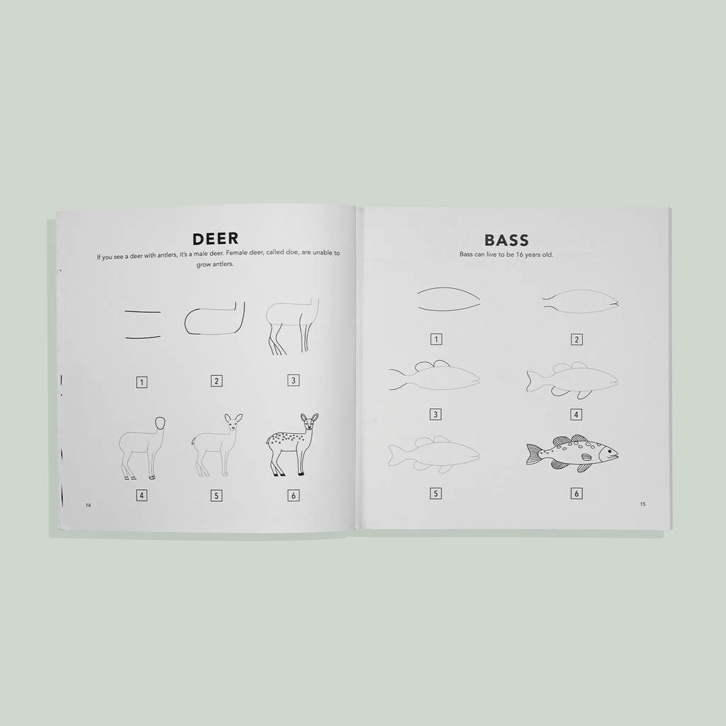 How to Draw for Kids: Mushrooms & Woodland Creatures for Kids | Playroom Avenue