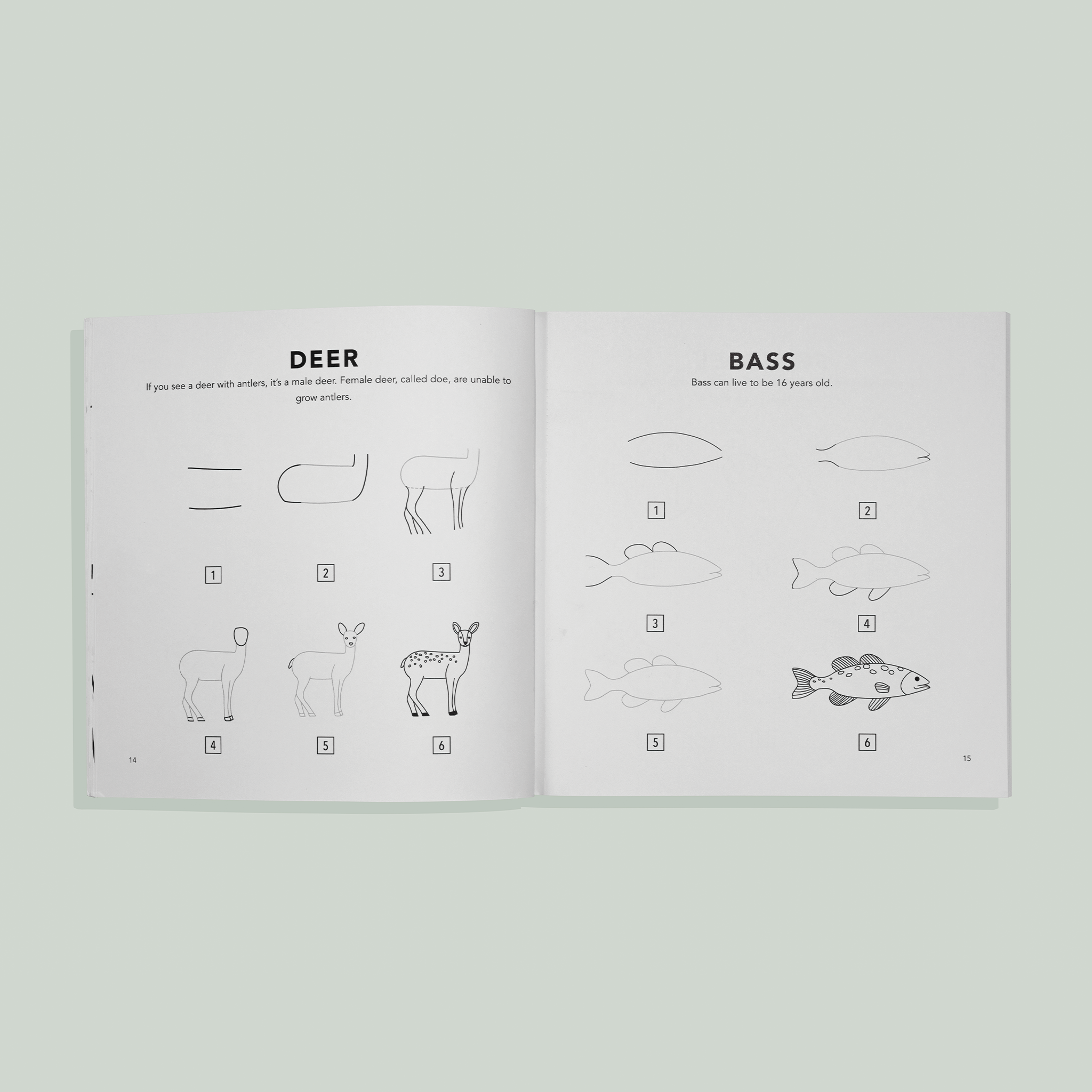 How to Draw for Kids: Mushrooms & Woodland Creatures for Kids | Playroom Avenue