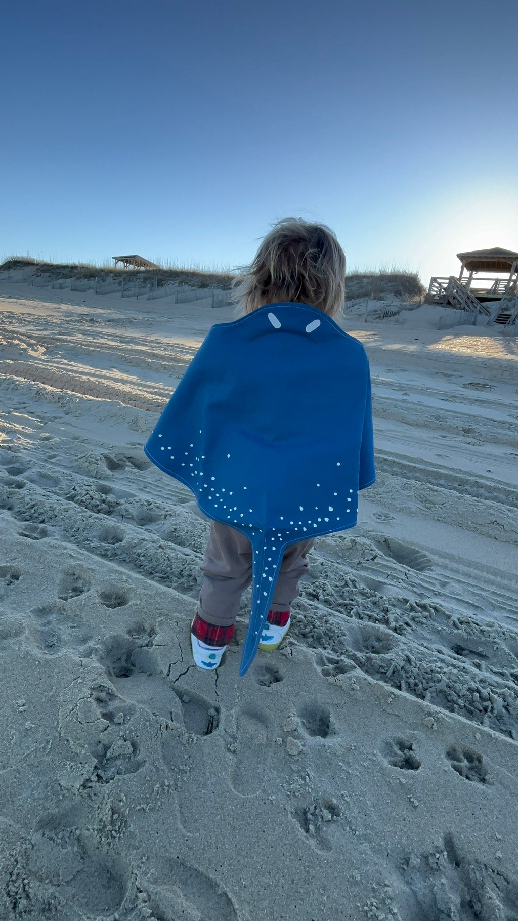 Jack Be Nimble Stingray Costume Wings | Playroom Avenue