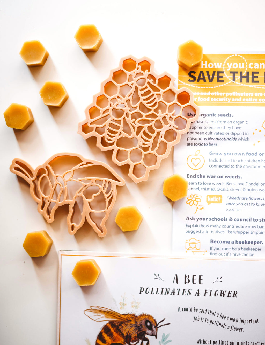 Teddy Bear Bee & Honey Comb Eco Cutter (2 Pieces) | Playroom Avenue