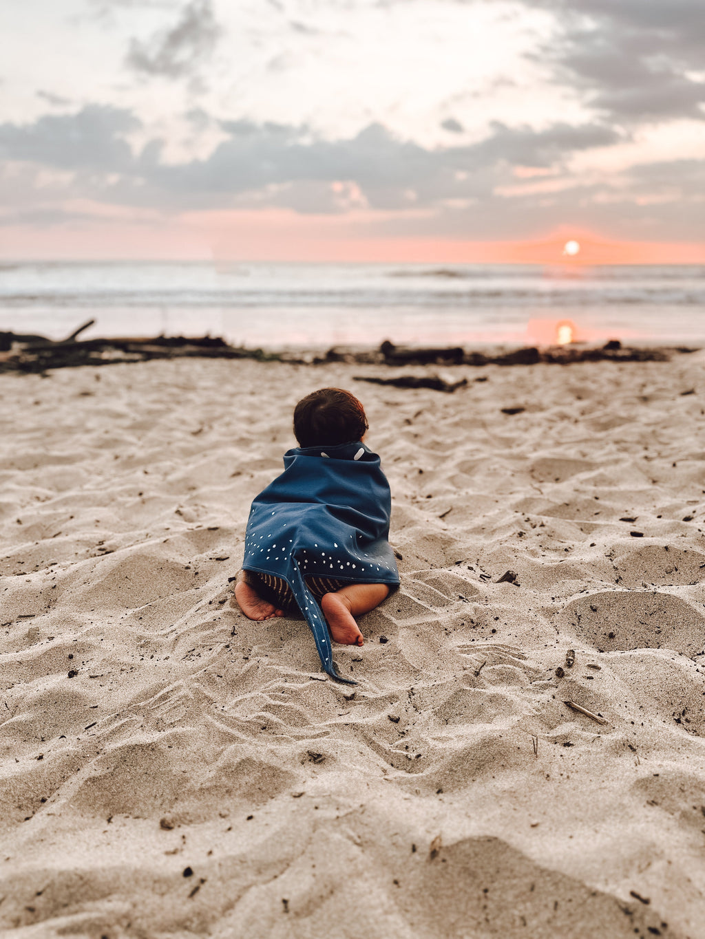 Jack Be Nimble Stingray Costume Wings | Playroom Avenue