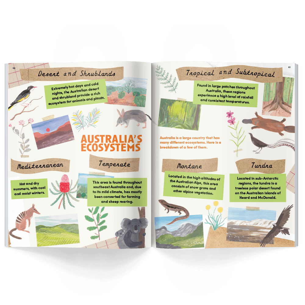 Honest History A Land Called Oz | Playroom Avenue