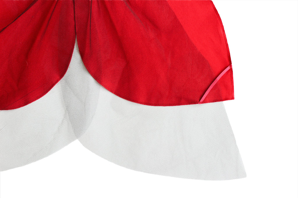 Jack Be Nimble Ladybug Wings Costume | Playroom Avenue