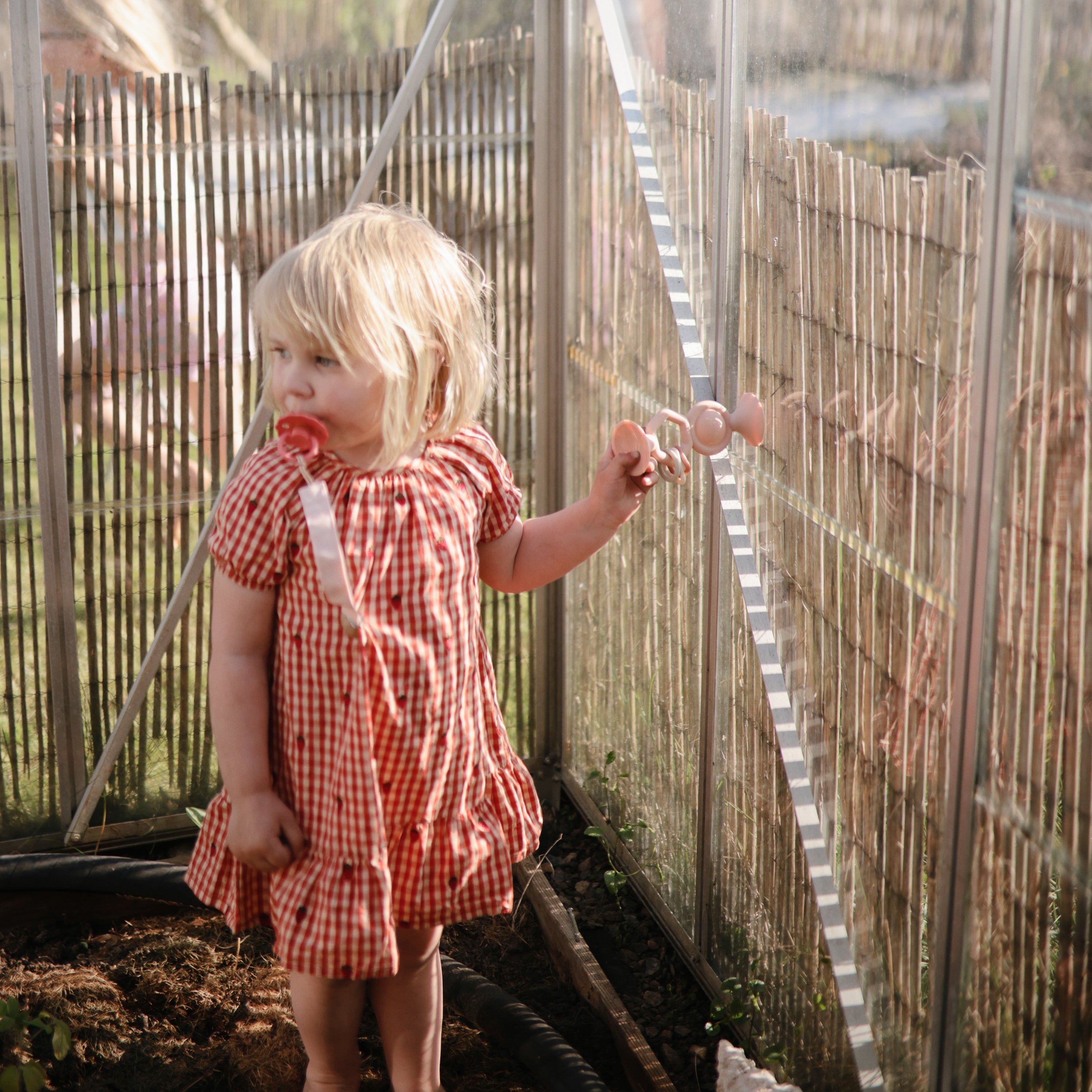 Mushie HexaPop Suction Toy | Playroom Avenue