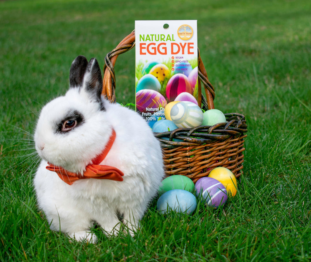 Natural Earth Paint Natural Egg Dye Kit | Playroom Avenue