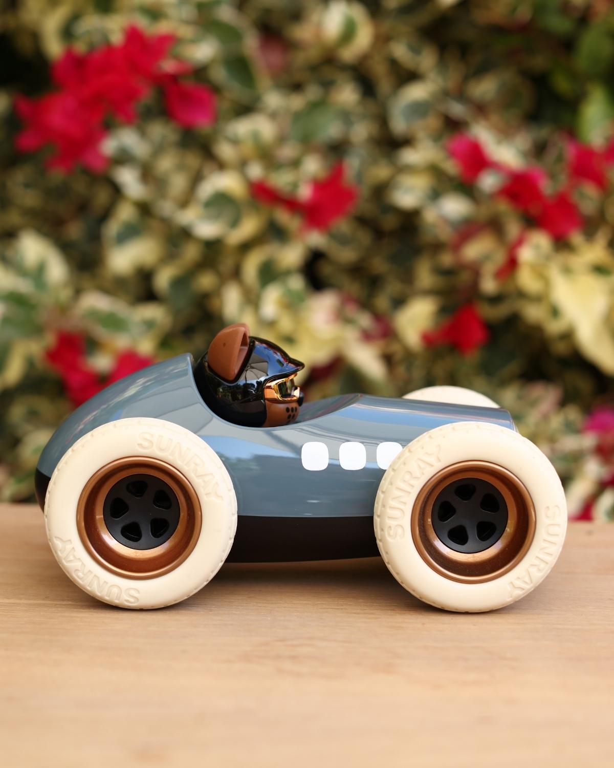 Playforever Car Egg Roadster SCRAMBLER | Playroom Avenue