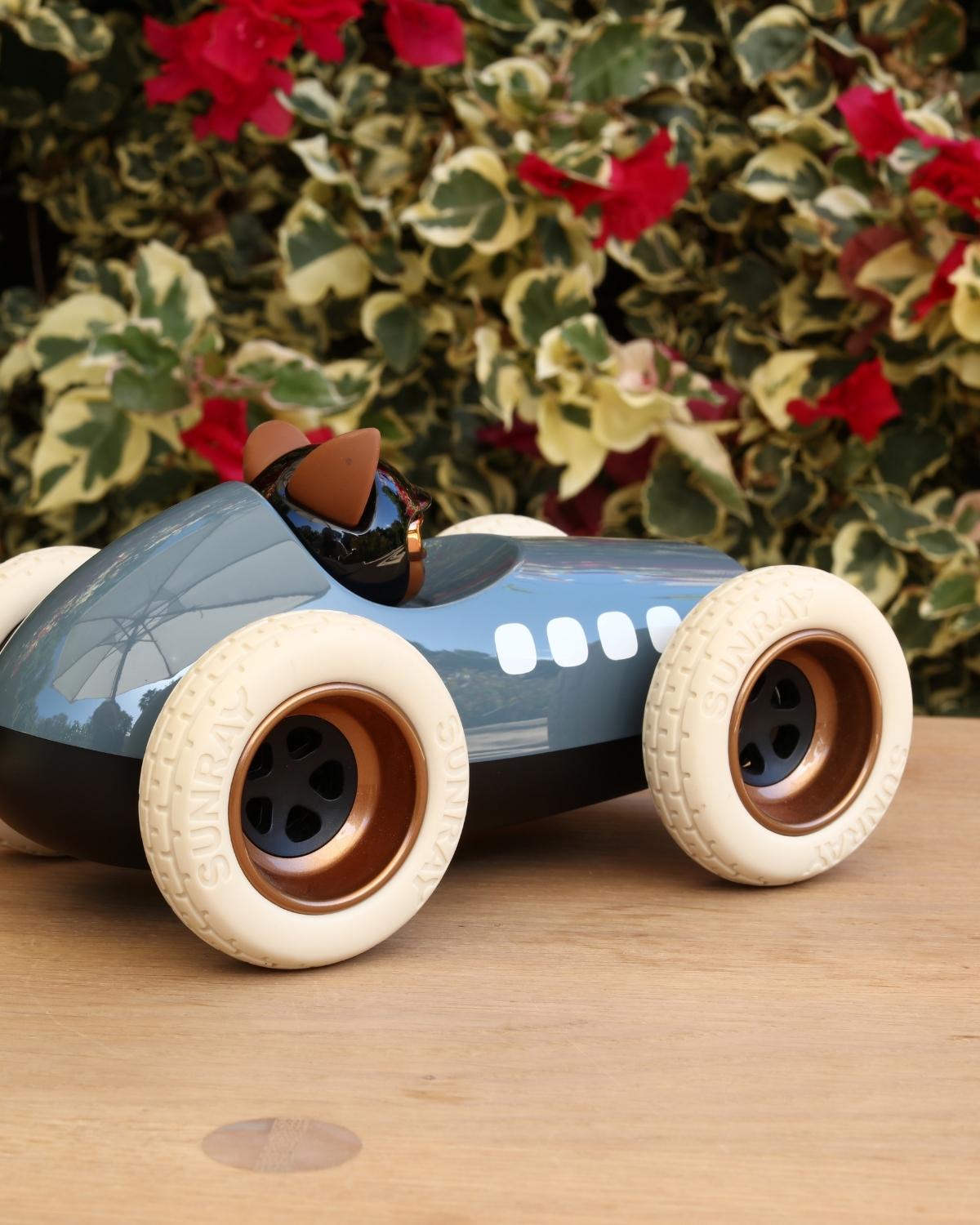Playforever Car Egg Roadster SCRAMBLER | Playroom Avenue