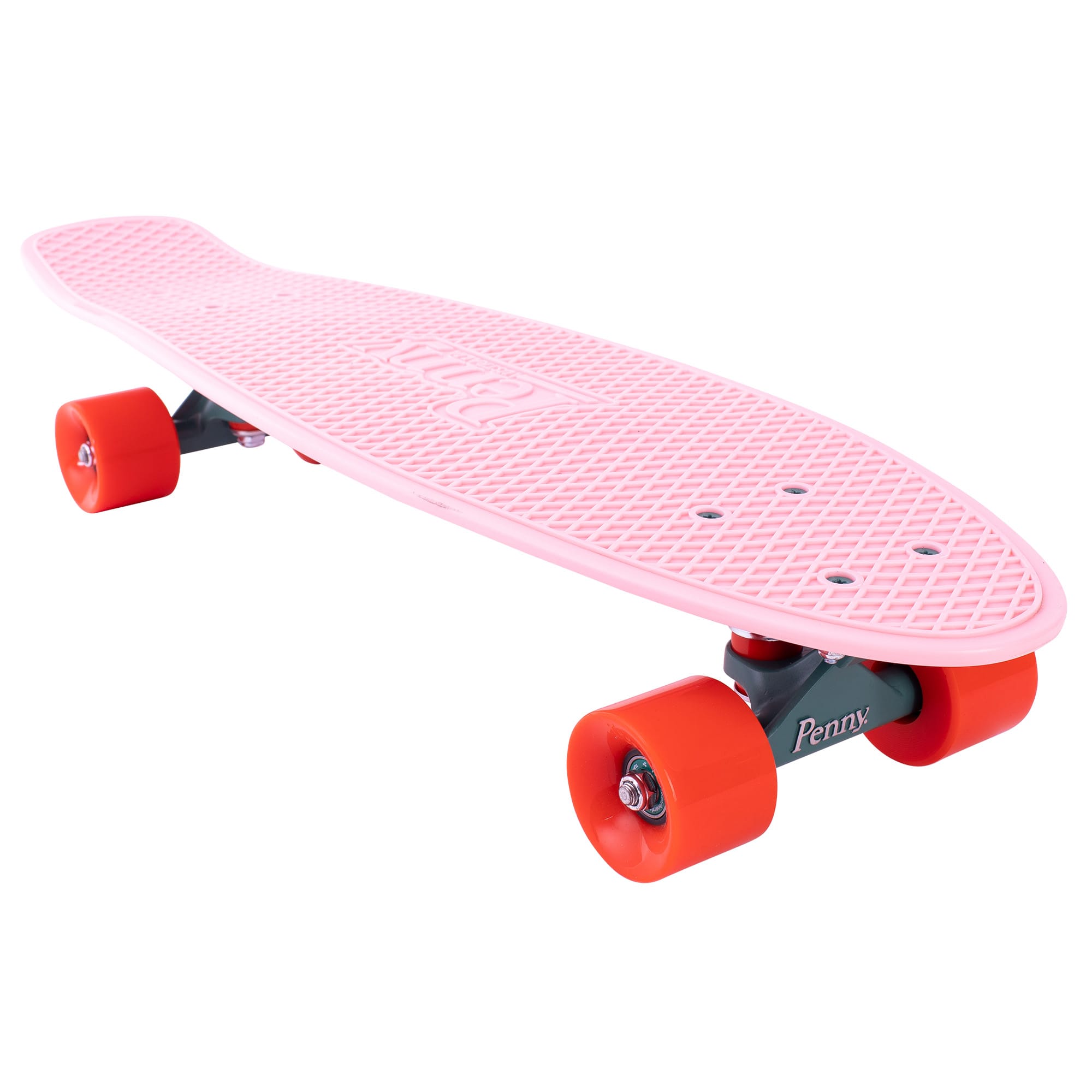 Cactus Wanderlust 27" | Playroom Avenue