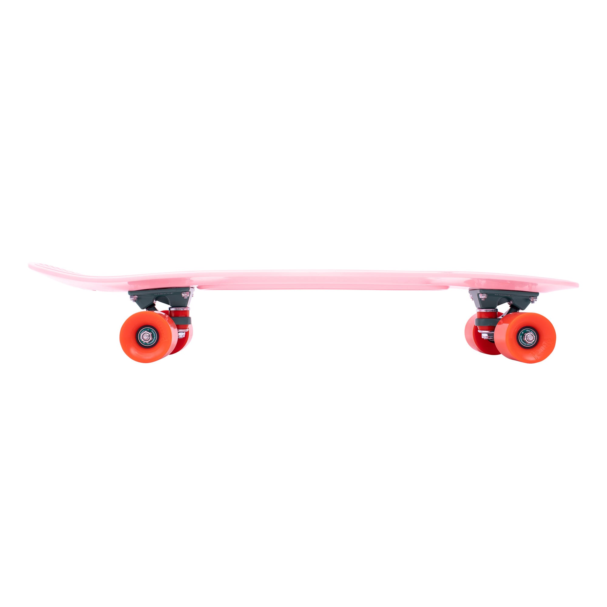 Cactus Wanderlust 27" | Playroom Avenue