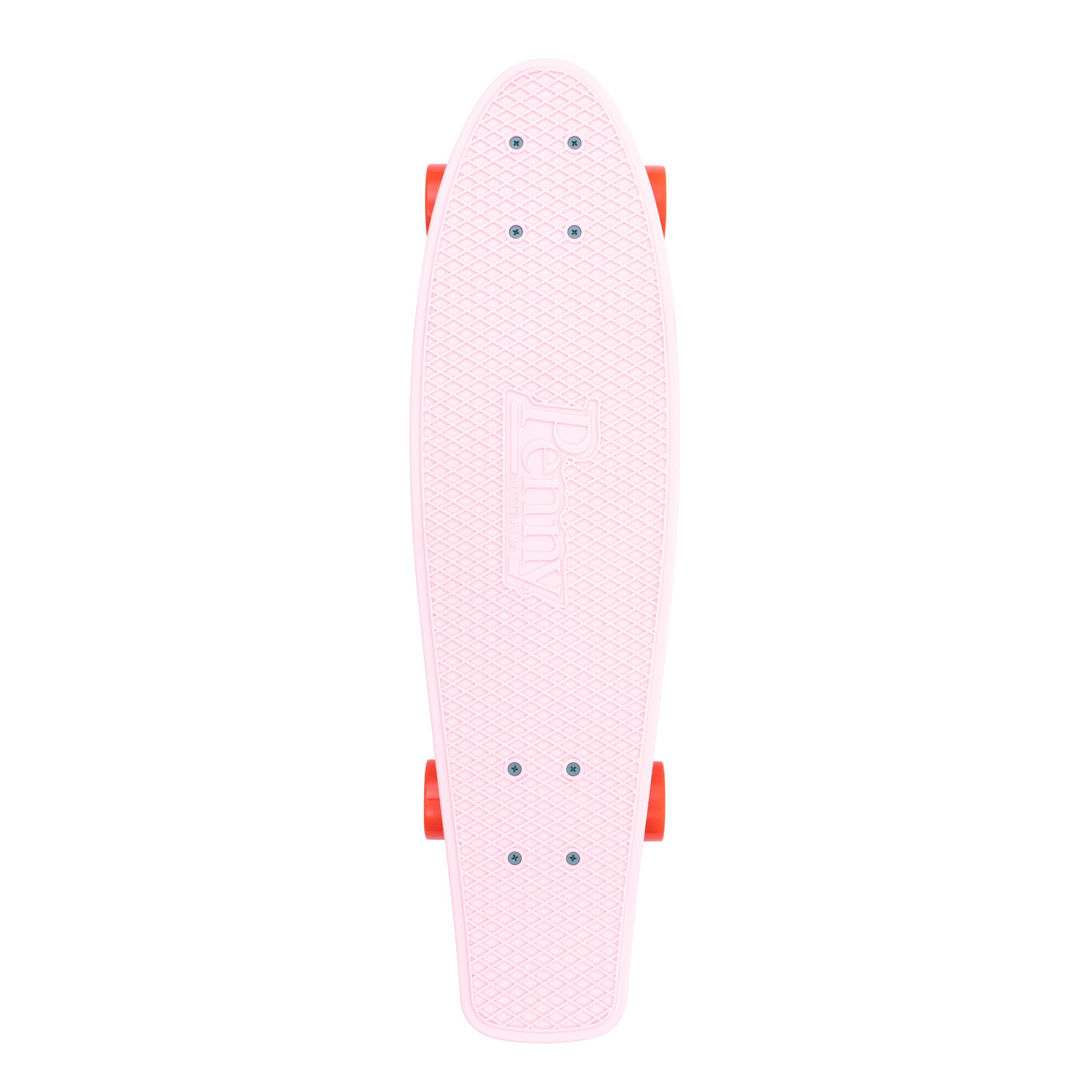 Cactus Wanderlust 27" | Playroom Avenue