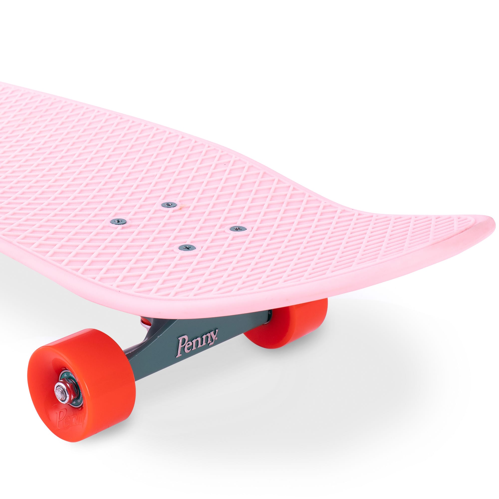 Cactus Wanderlust 32" | Playroom Avenue