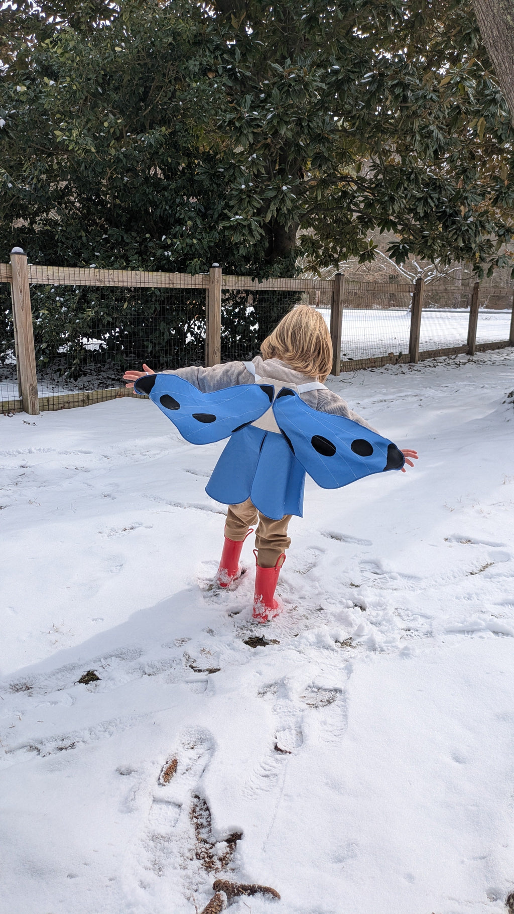 Jack Be Nimble Spotted Blue Butterfly Wings Costume | Playroom Avenue