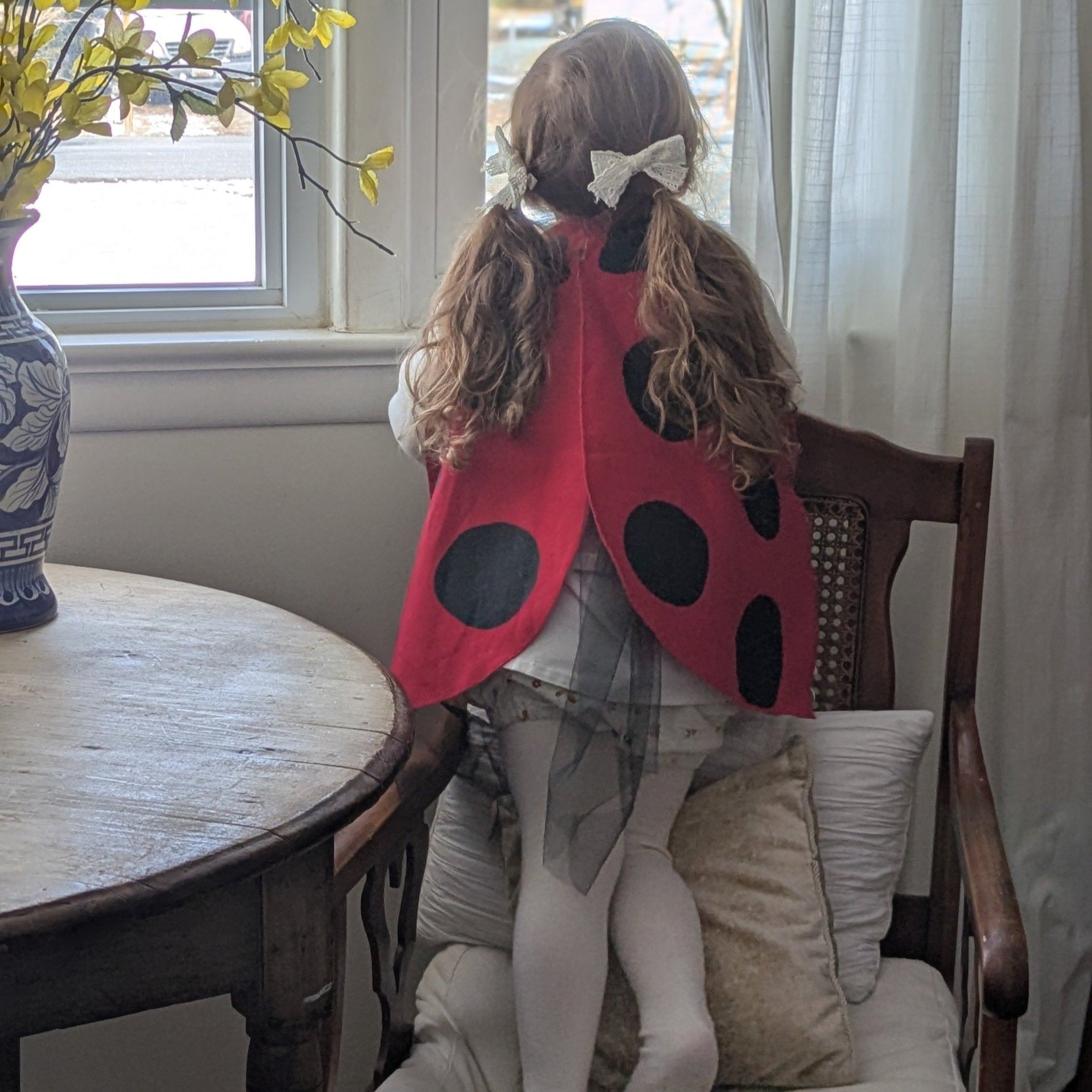 Jack Be Nimble Ladybug Wings Costume | Playroom Avenue