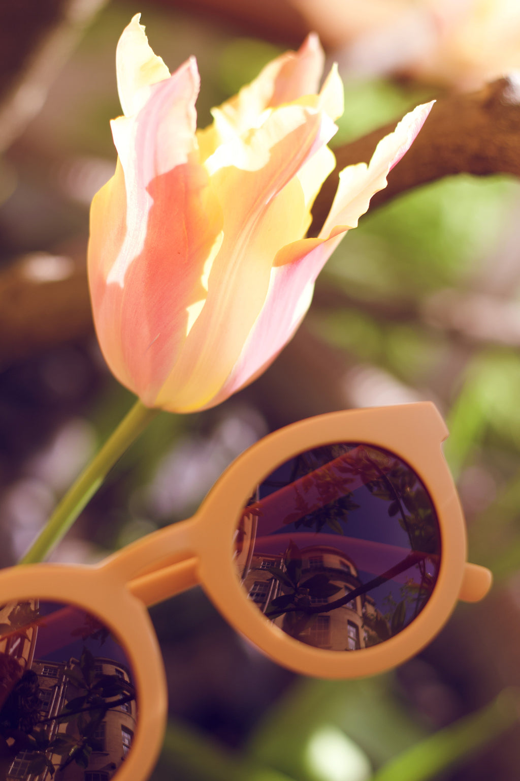 GRECH & CO.Classic | Sustainable Sunglasses | Plant-Based Bendable Polarized - Child | 3-8 Y | Playroom Avenue