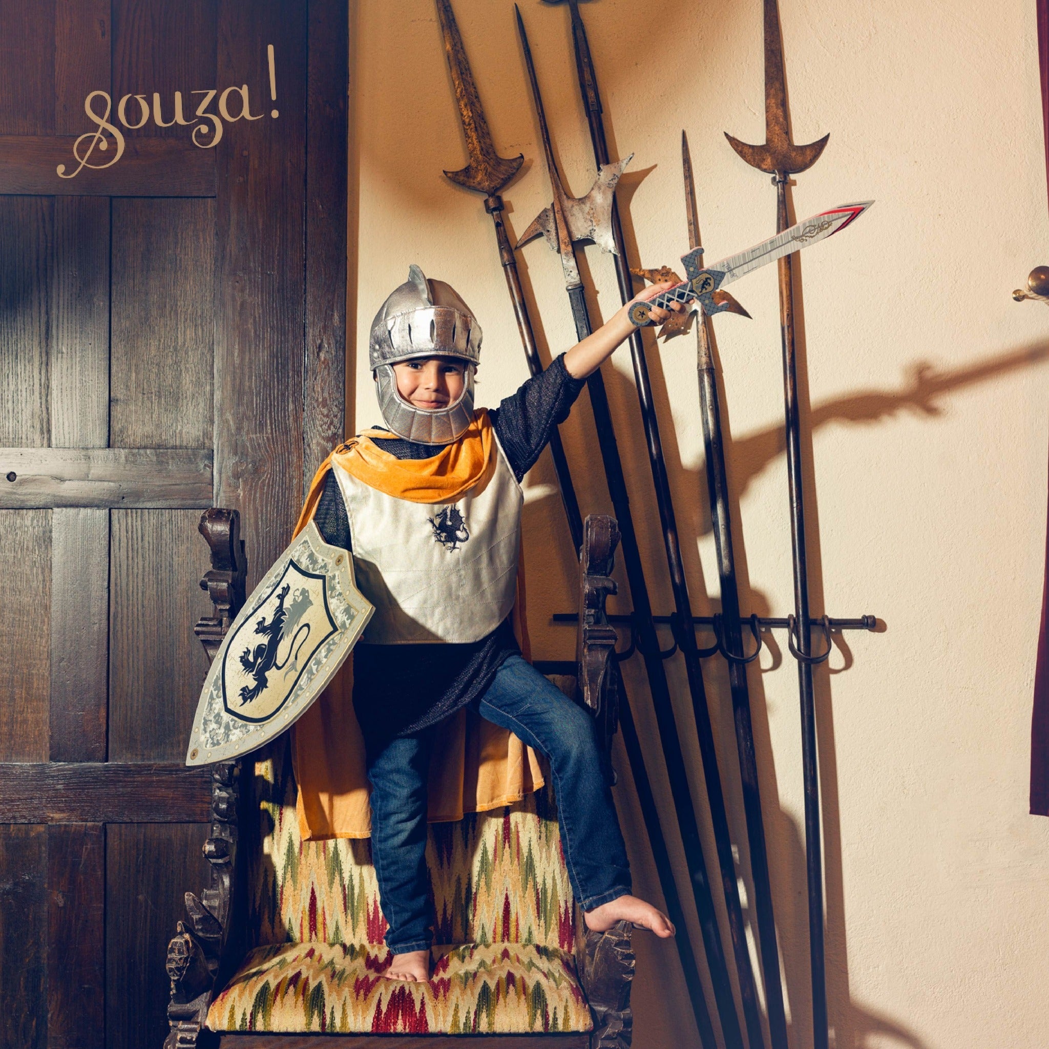 Souza Shield Raymond  - Costume Accessory for Kids