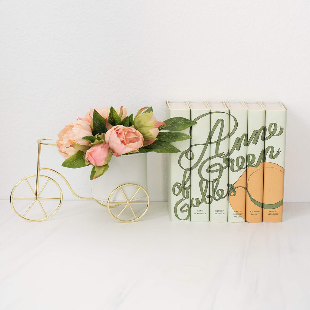 Anne of Green Gables Book Set | Playroom Avenue