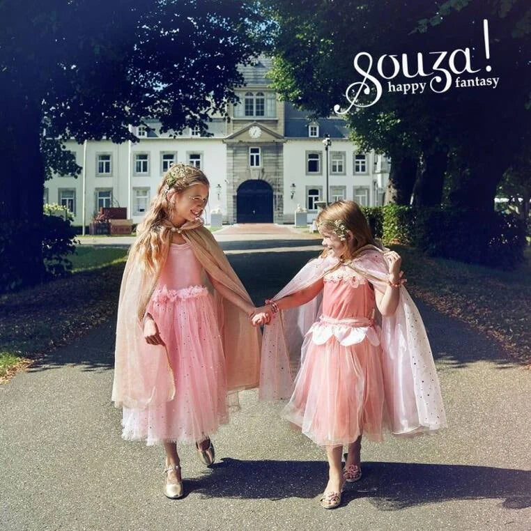 Souza Rosyanne Fairy Costume – Dress and Wings Set (pink) | Playroom Avenue