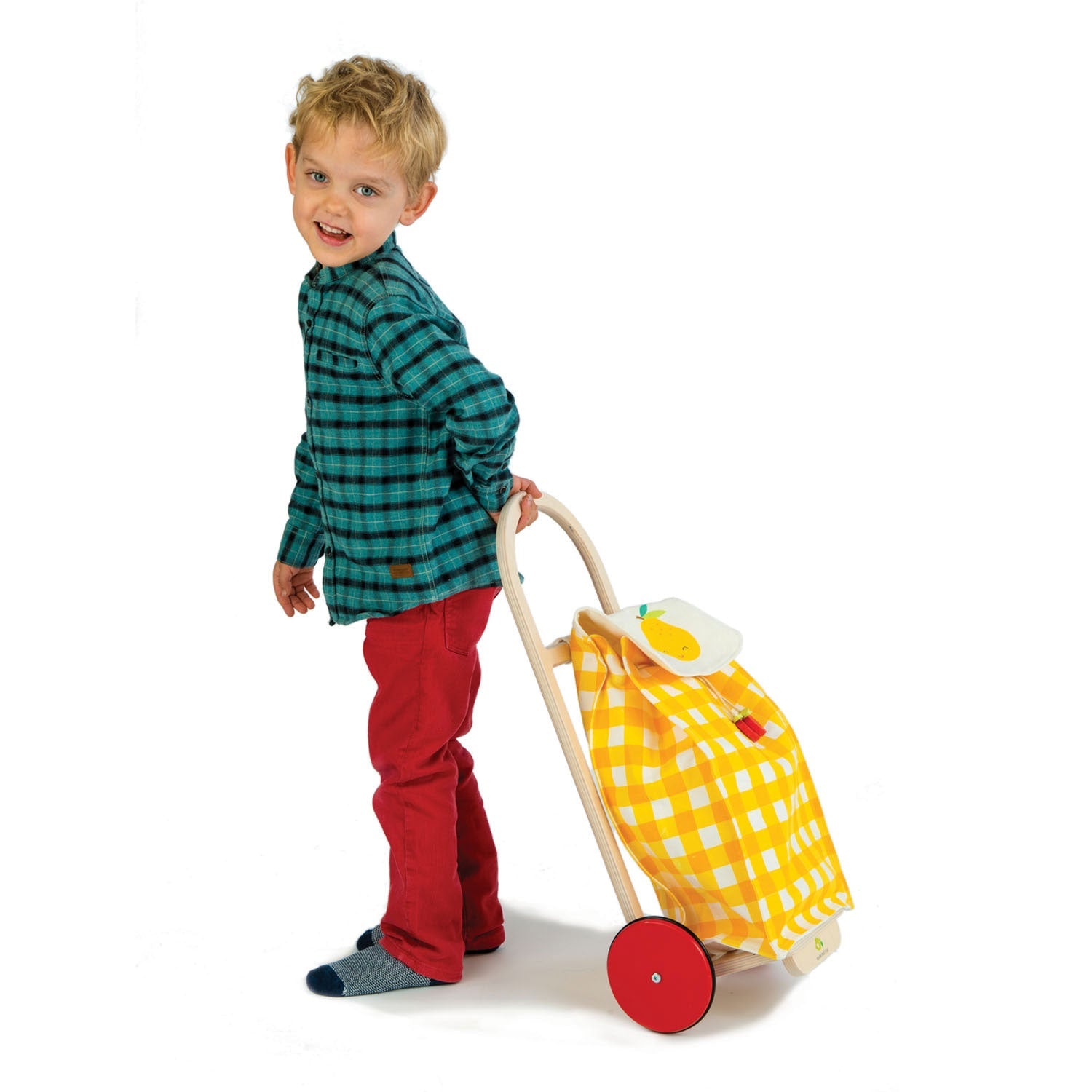 Tender Leaf Pull Along Shopping Trolley | Playroom Avenue