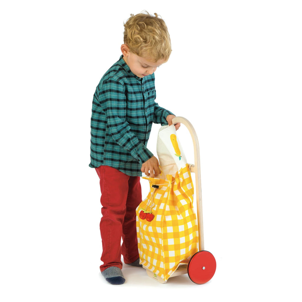 Tender Leaf Pull Along Shopping Trolley | Playroom Avenue