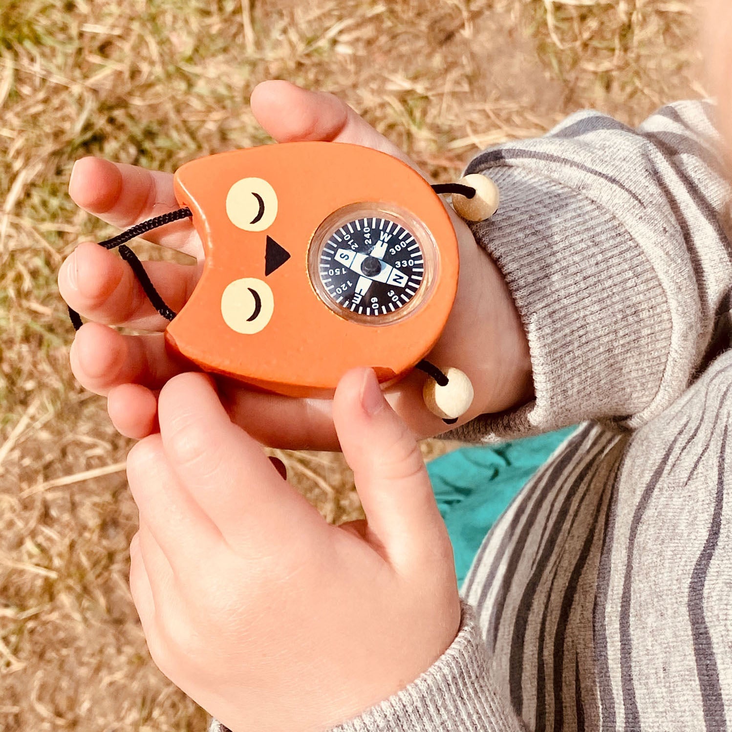 Tender Leaf Safari Adventure | Playroom Avenue