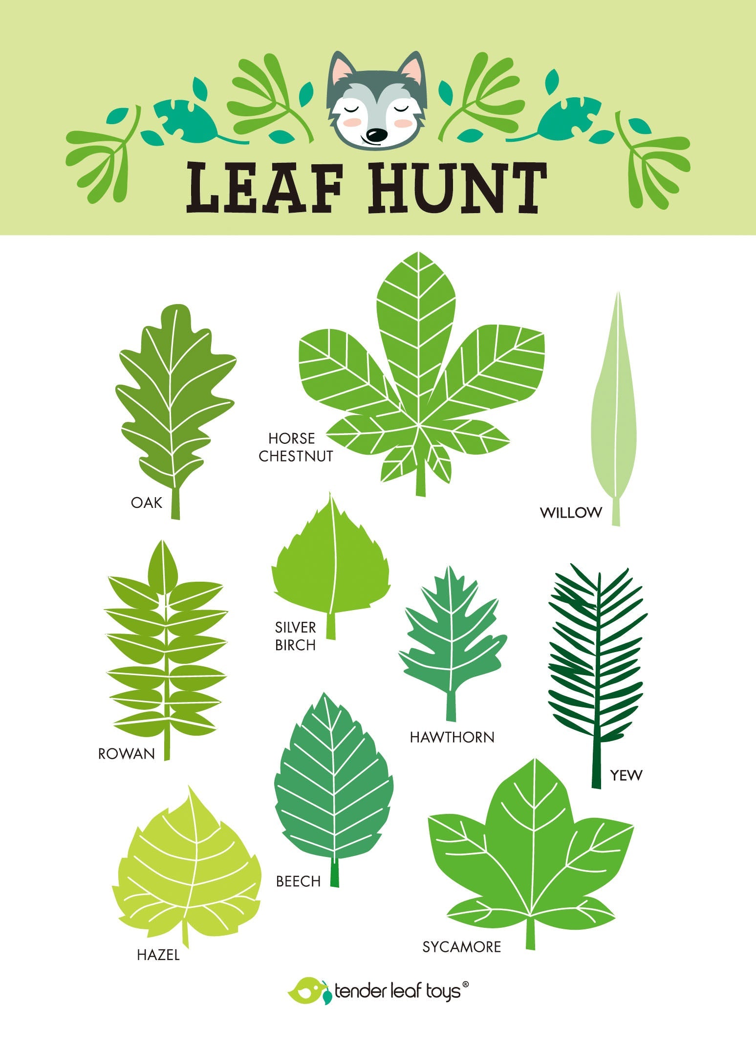 Tender Leaf Forest Trail Kit | Playroom Avenue