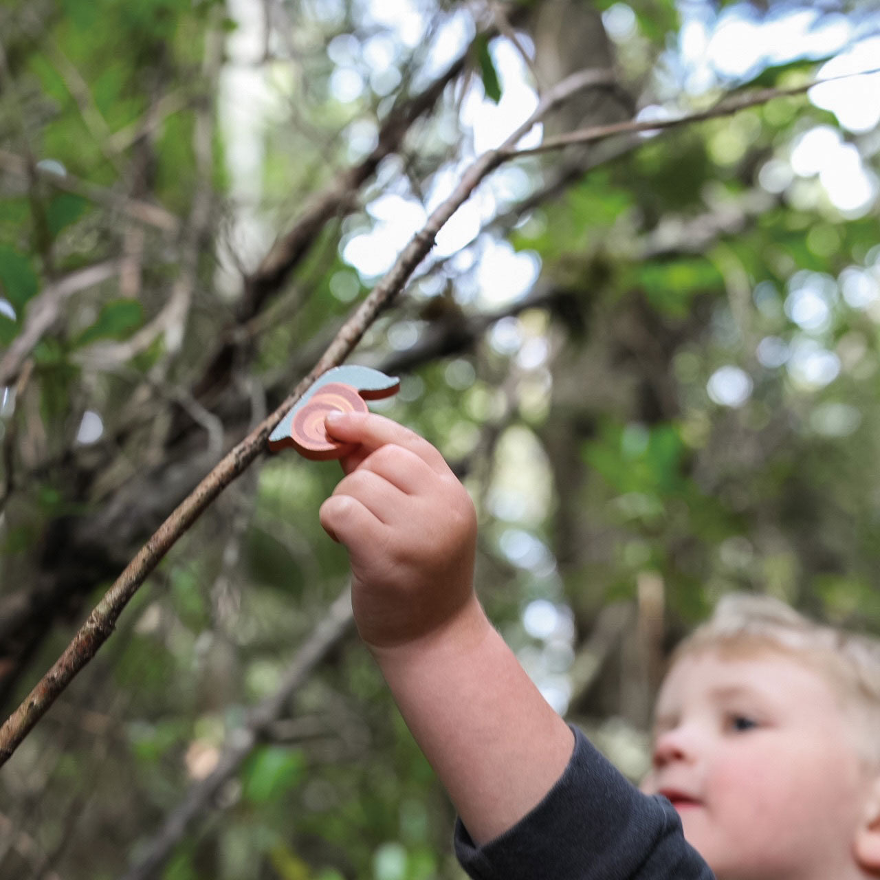 Tender Leaf My Forest Floor | Playroom Avenue