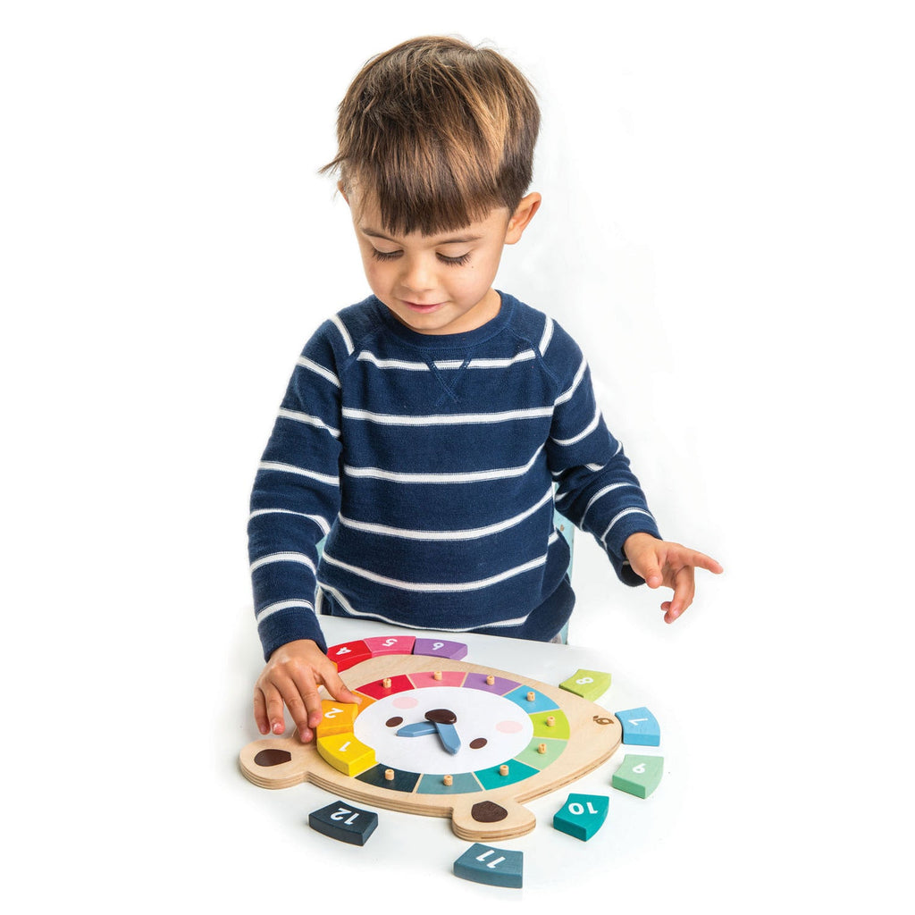 Tender Leaf Bright Minds Math Collection | Playroom Avenue