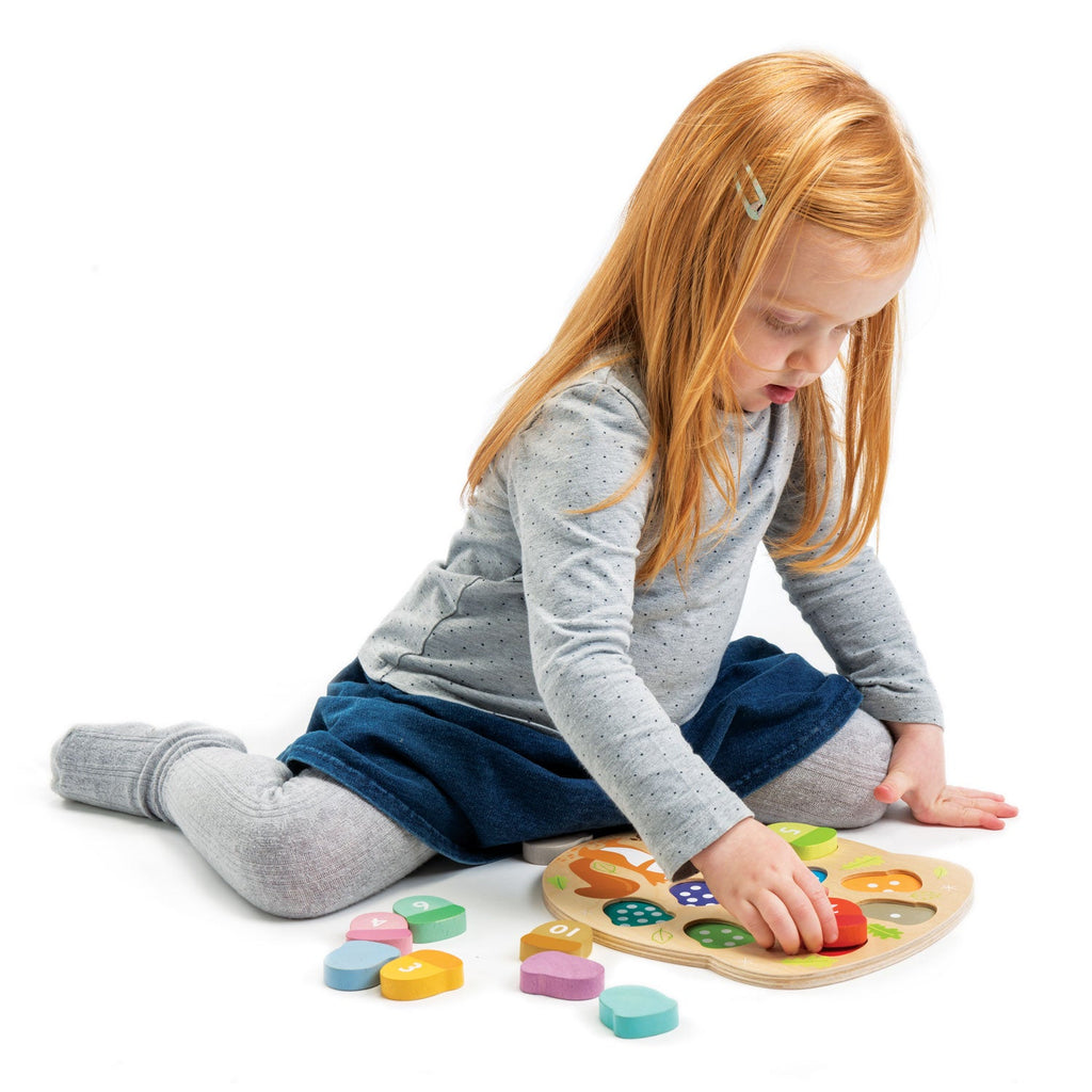 Tender Leaf Bright Minds Math Collection | Playroom Avenue