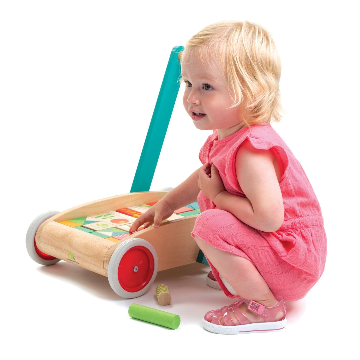 Tender Leaf Baby Block Walker | Playroom Avenue