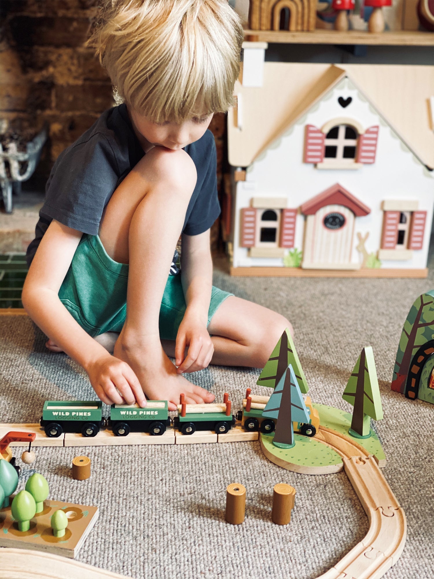 Tender Leaf Wild Pines Train Set | Playroom Avenue