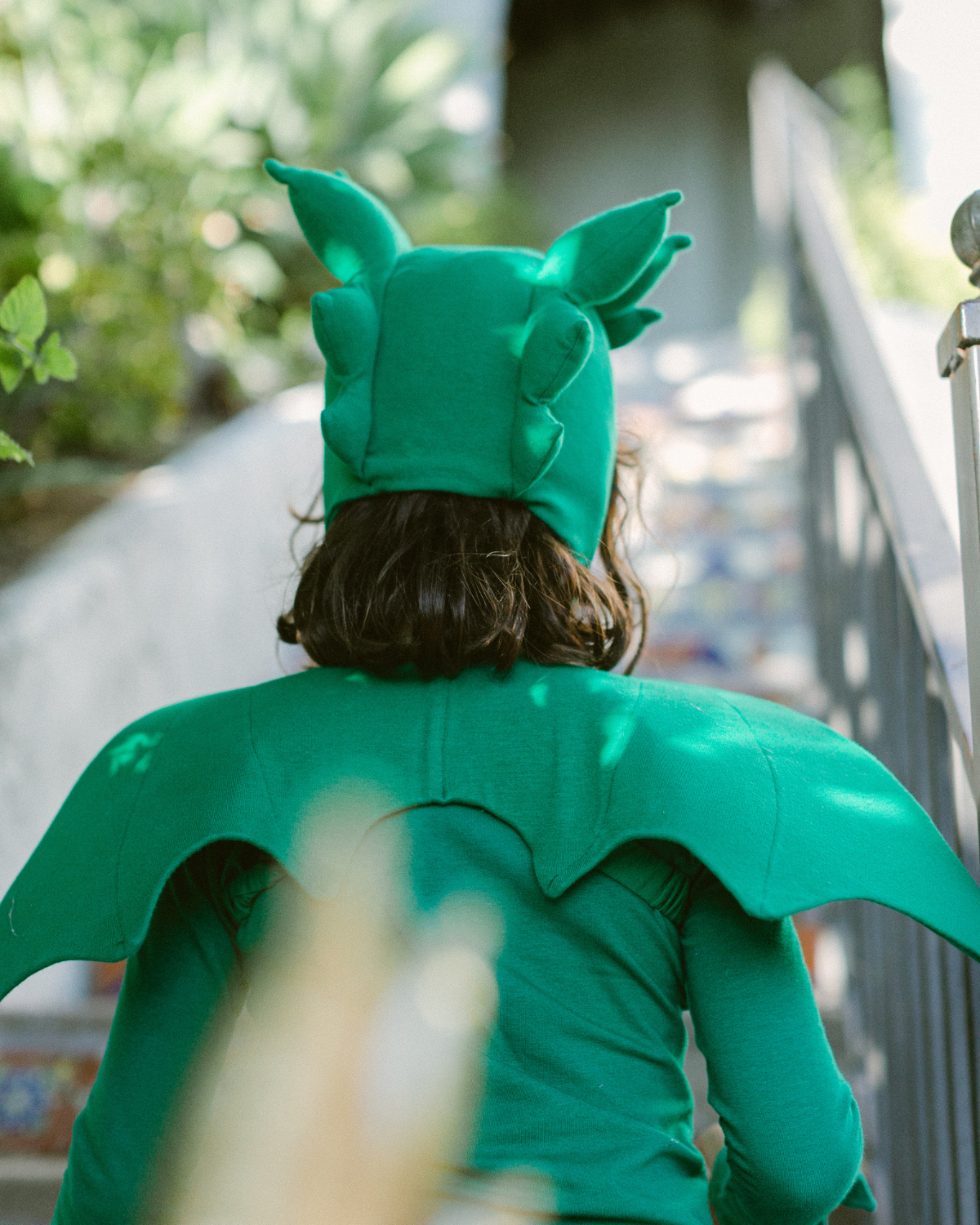 Band of the Wild Green Dragon Costume