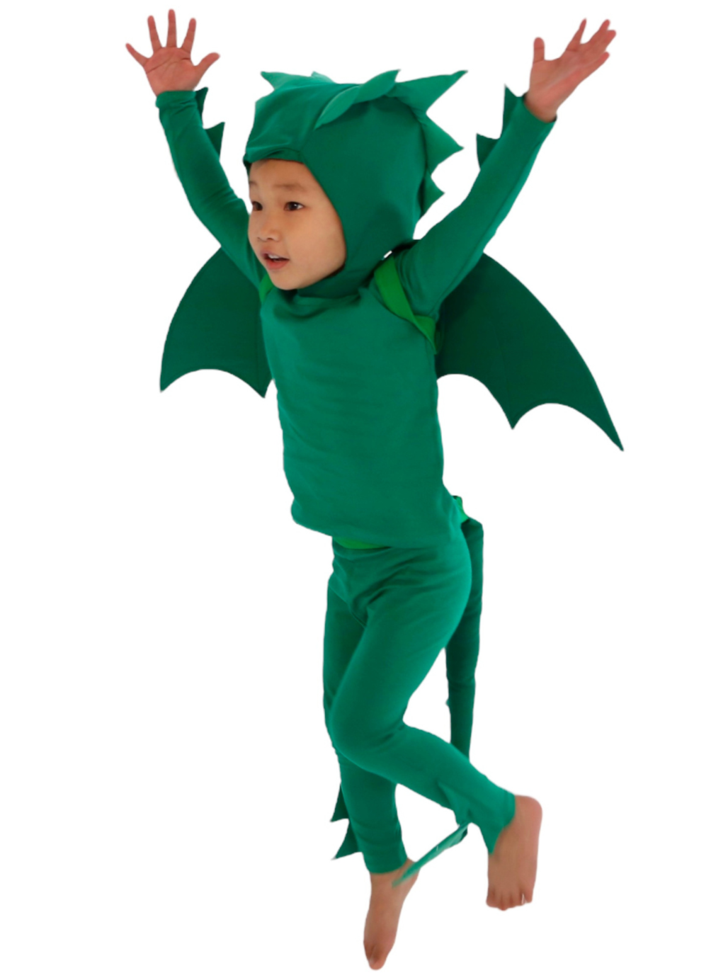 Band of the Wild Green Dragon Costume