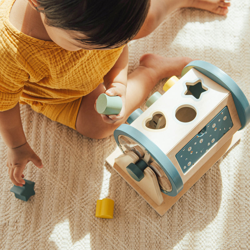 Wonder and Wise Activity Roller