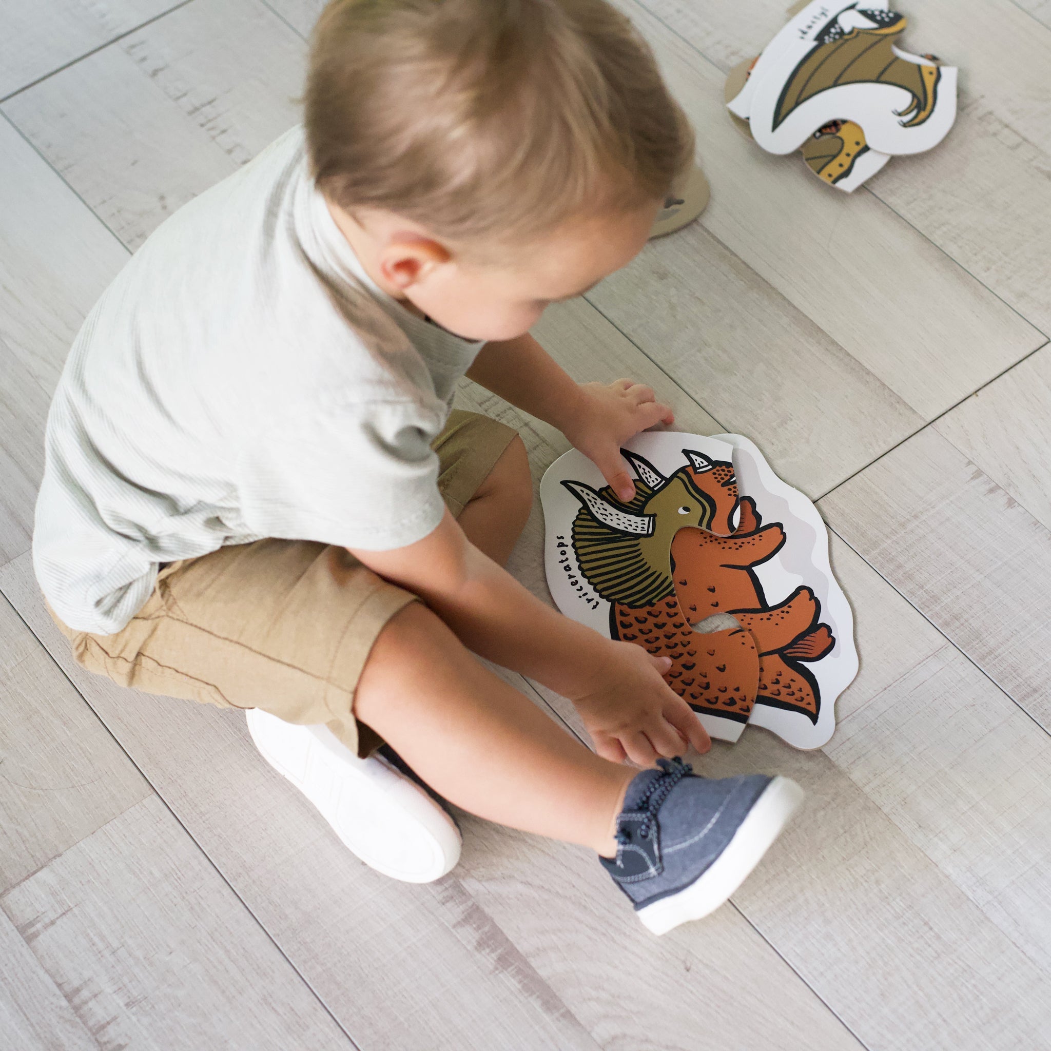 Child playing with dinosaur-shaped toys on a wooden floor