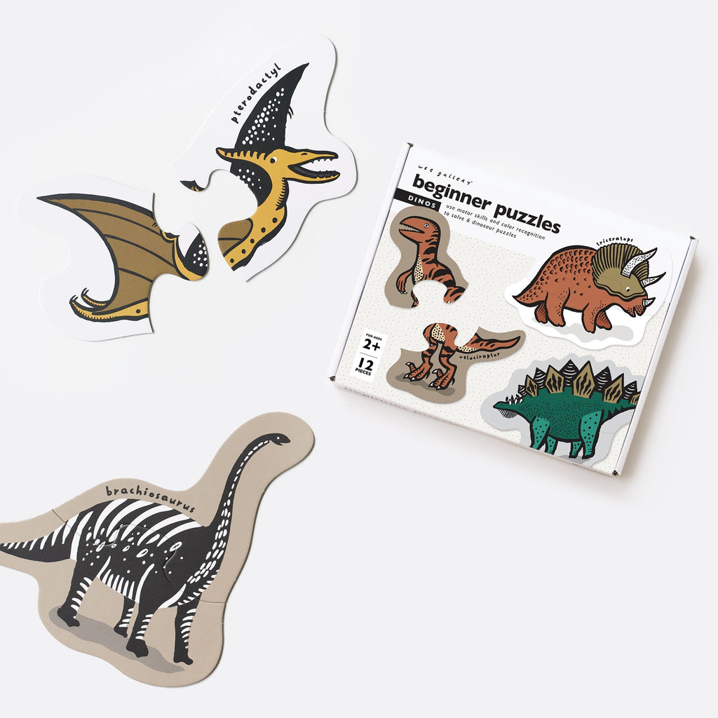 Dinosaur-themed puzzles with a packaging box on a white background