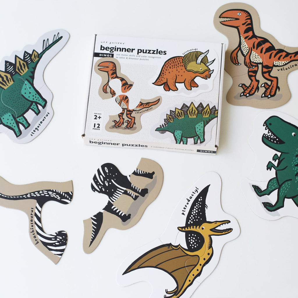 Dinosaur-themed beginner puzzles on a white background