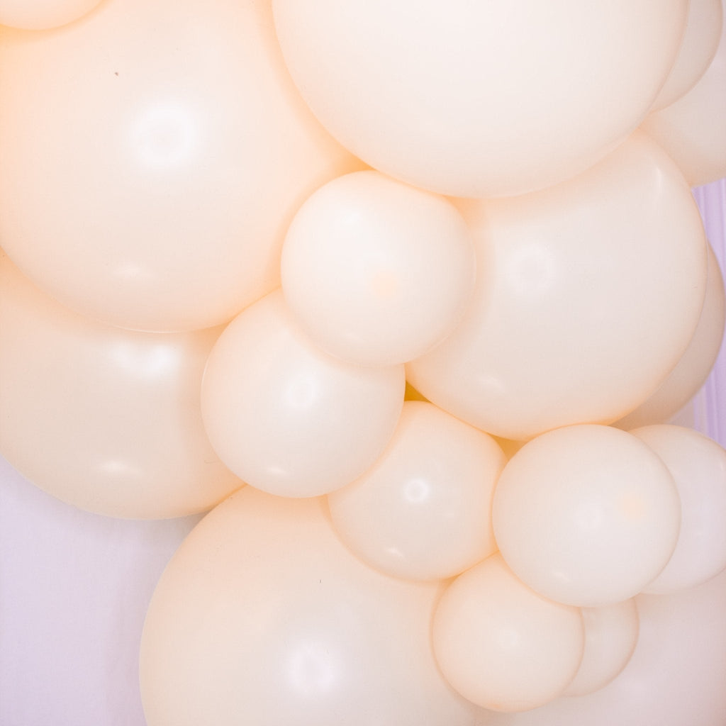 Ellie's Party Supply Blush Balloon Garland Kit | Playroom Avenue