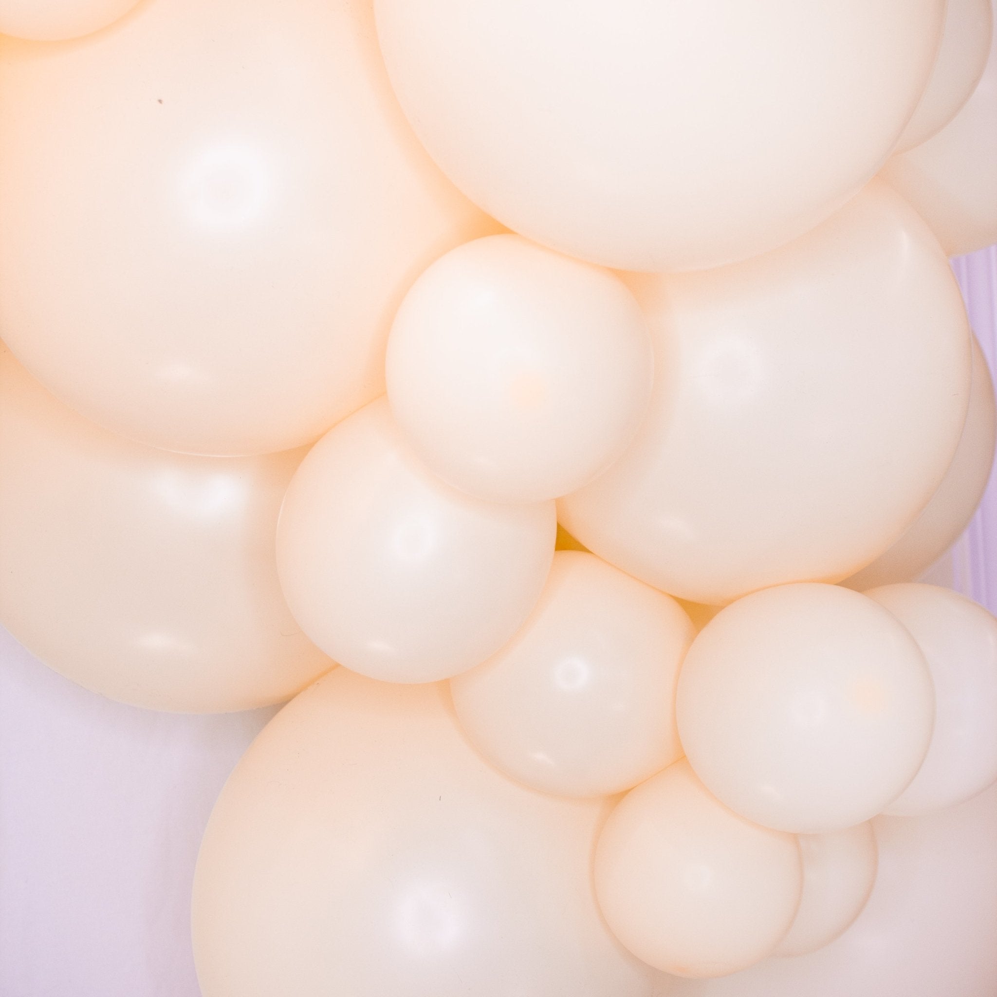 Ellie's Party Supply Blush Balloon Garland Kit | Playroom Avenue