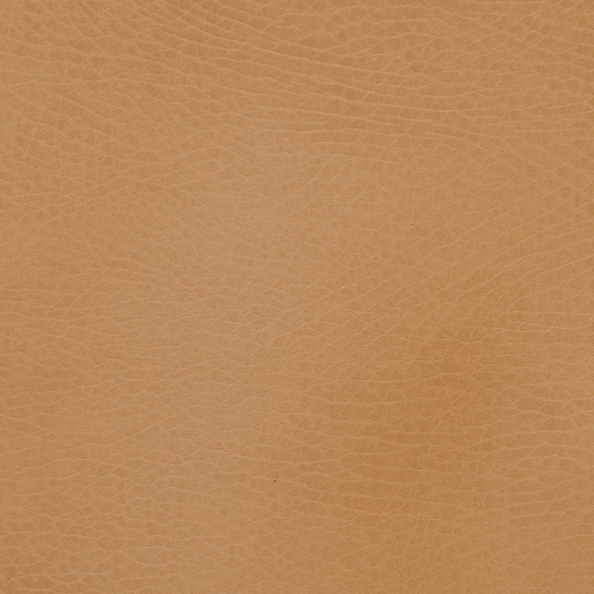 Gathre Ball Pit - Playroom Avenue