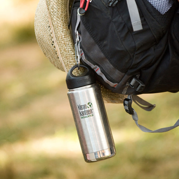 Klean Kanteen Steel S-biner #3