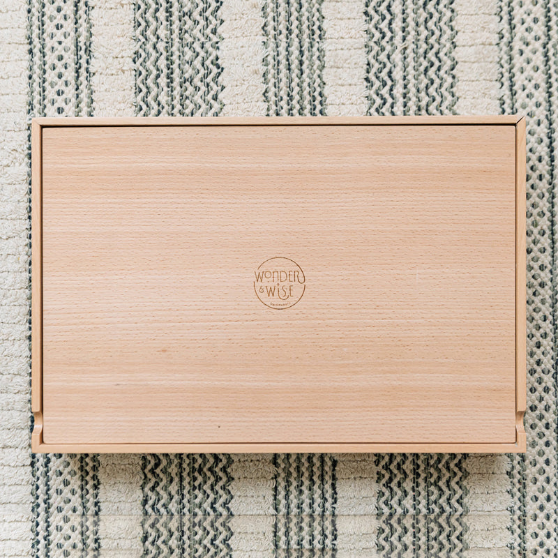 Wonder and Wise Compelling Spelling | Playroom Avenue