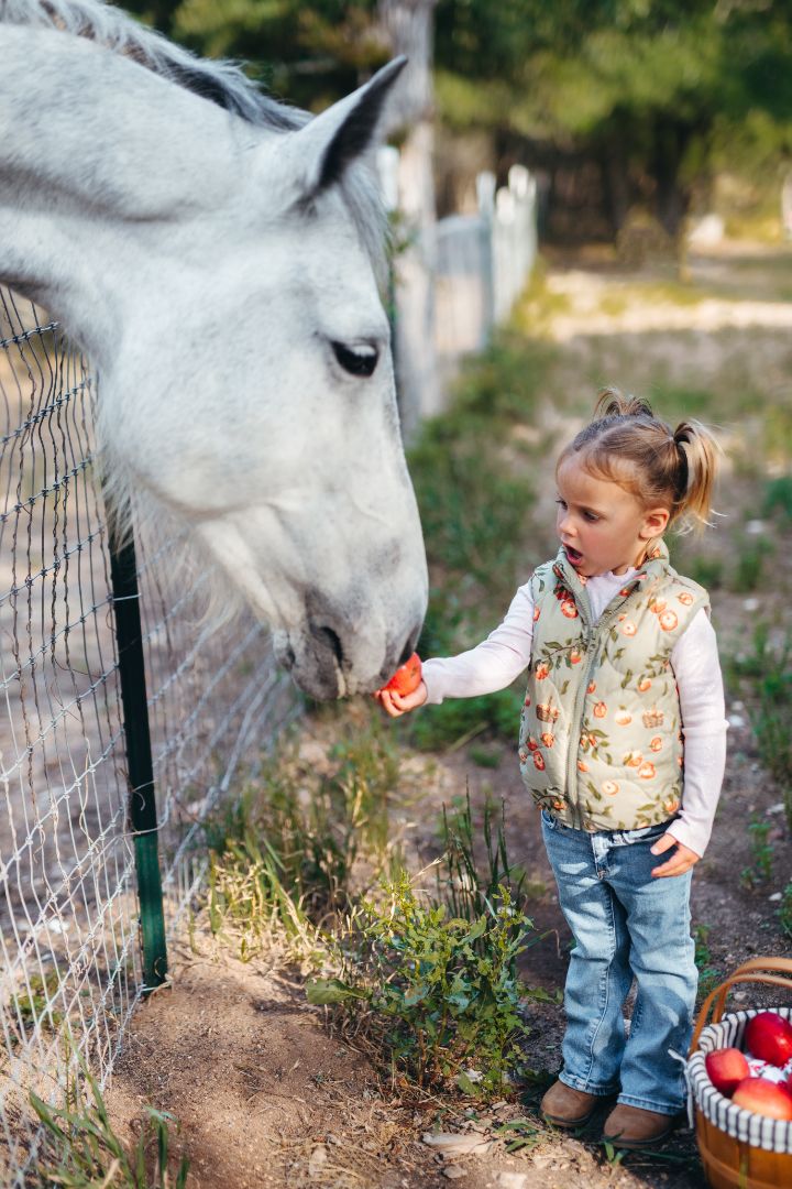 Milkbarn Apple Orchard Lightweight Down Vest | Playroom Avenue