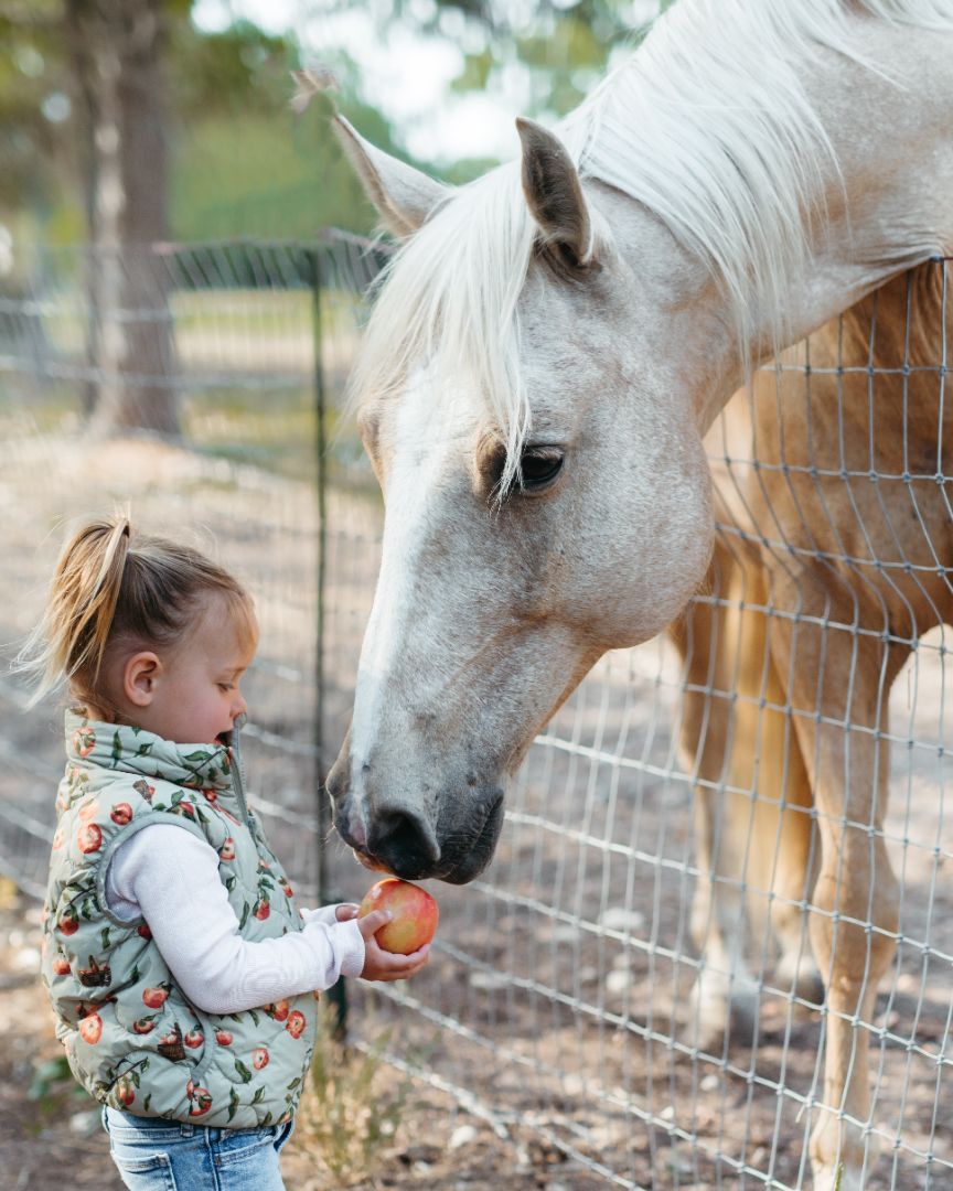 Milkbarn Apple Orchard Lightweight Down Vest | Playroom Avenue