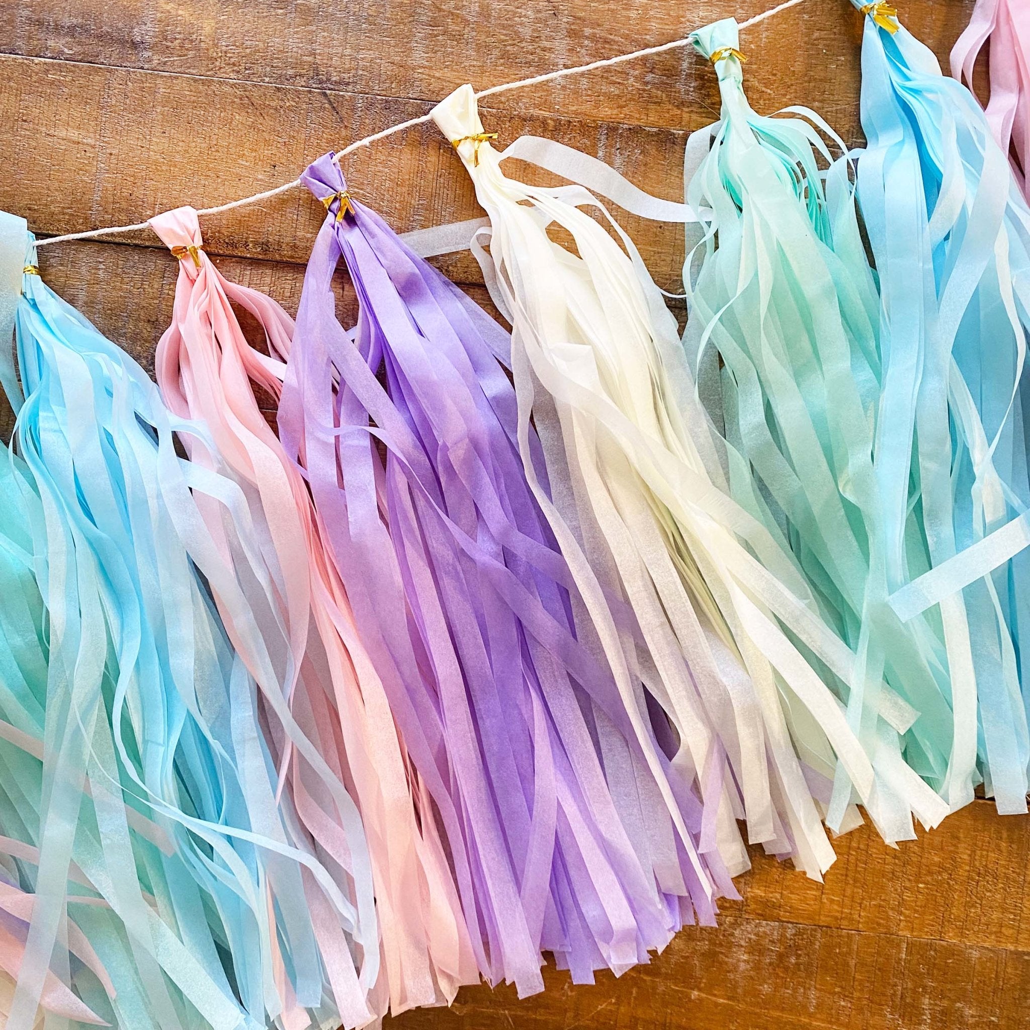 Ellie's Party Supply Paper Tassel Kit Rainbow Tassel Kit | Playroom Avenue