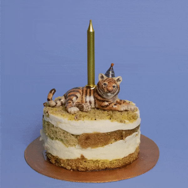 Camp Hollow Year of the Tiger Cake Topper | Playroom Avenue