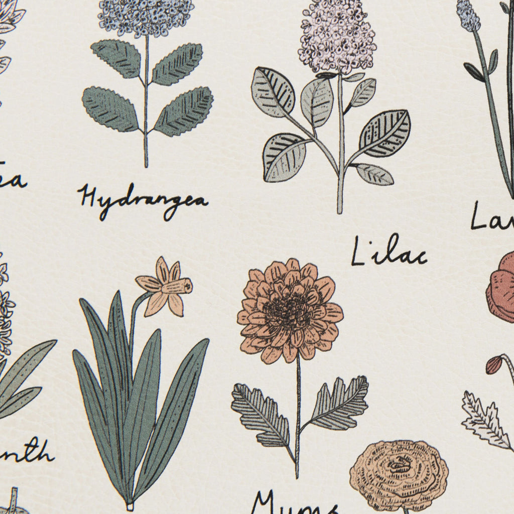 Illustrations of various flowers with labels on a light background