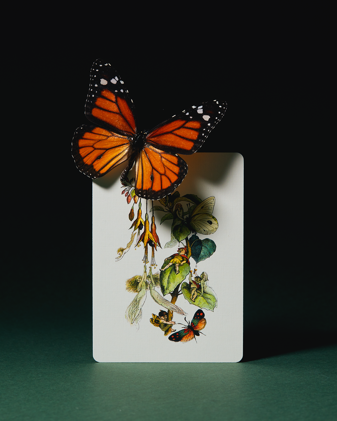 Art of Play Grimmlore Tartan, Black Edition