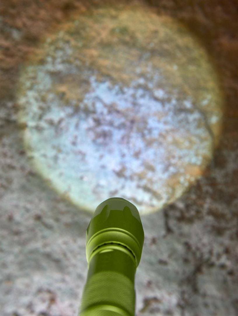 HABA Terra Kids 4-Way Flashlight | Playroom Avenue